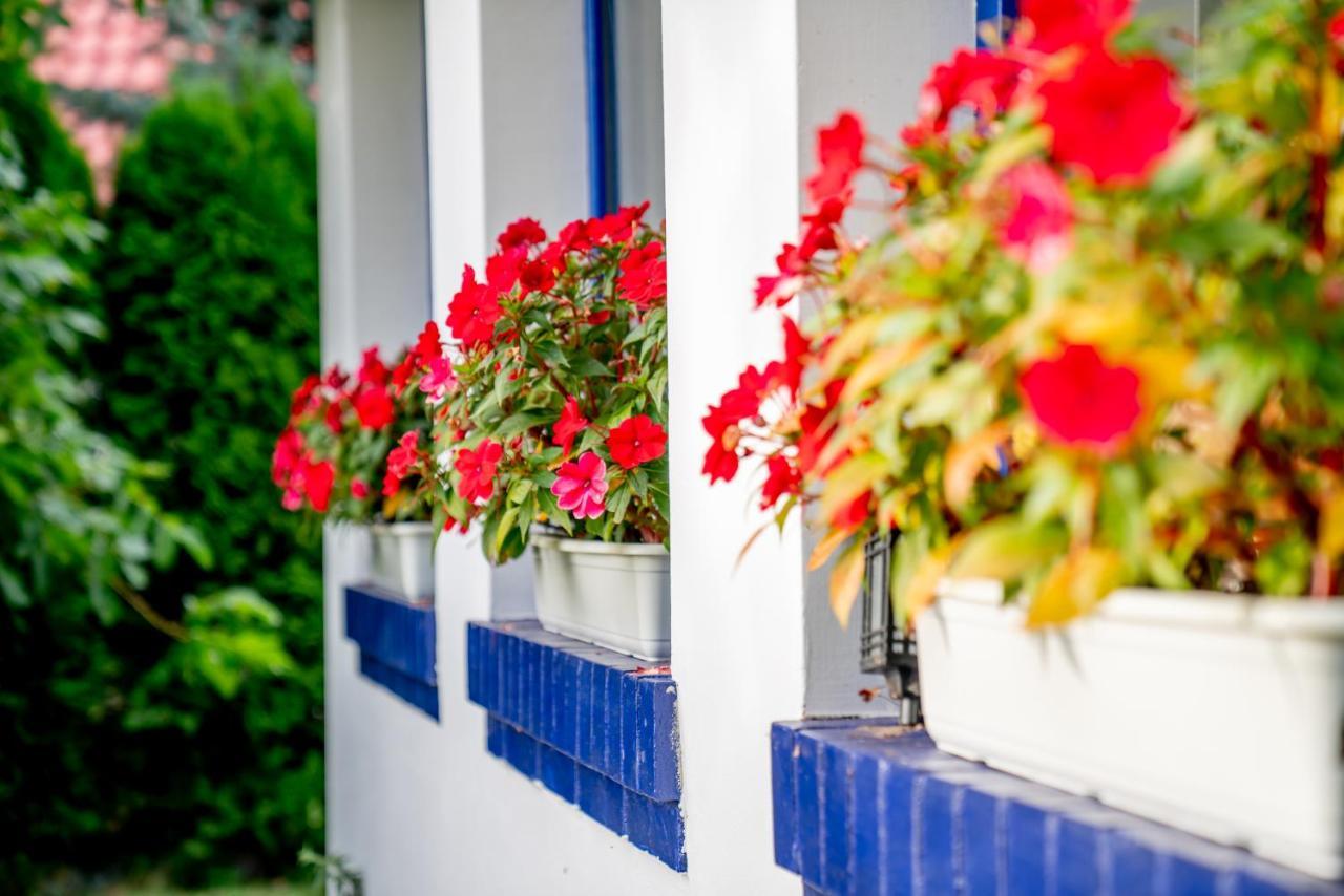 Holistyczne Ujecie Bed & Breakfast Kobyla Екстериор снимка